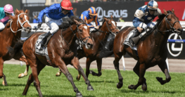 Melbourne Cup Odds and Bets