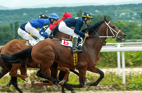 Horse Racing Betting Strategy Australia