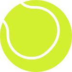Online US Open Tennis Betting Sites