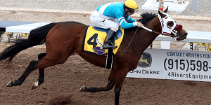 Kenny Oak Horse Racing