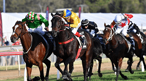 Horse Races in Queensland 